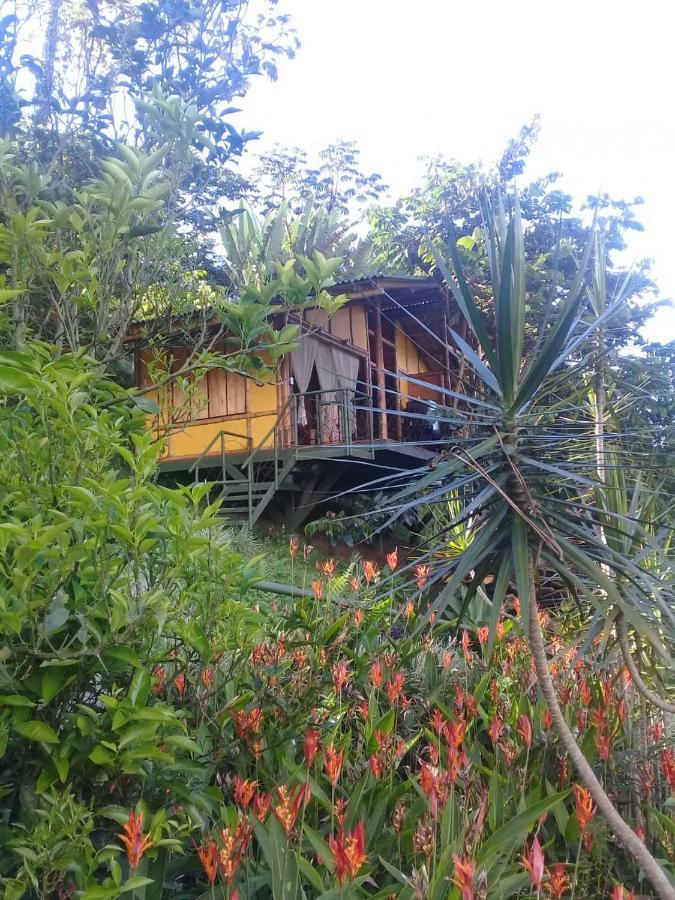 Sonarte Reserva Natural Cordoba  ภายนอก รูปภาพ