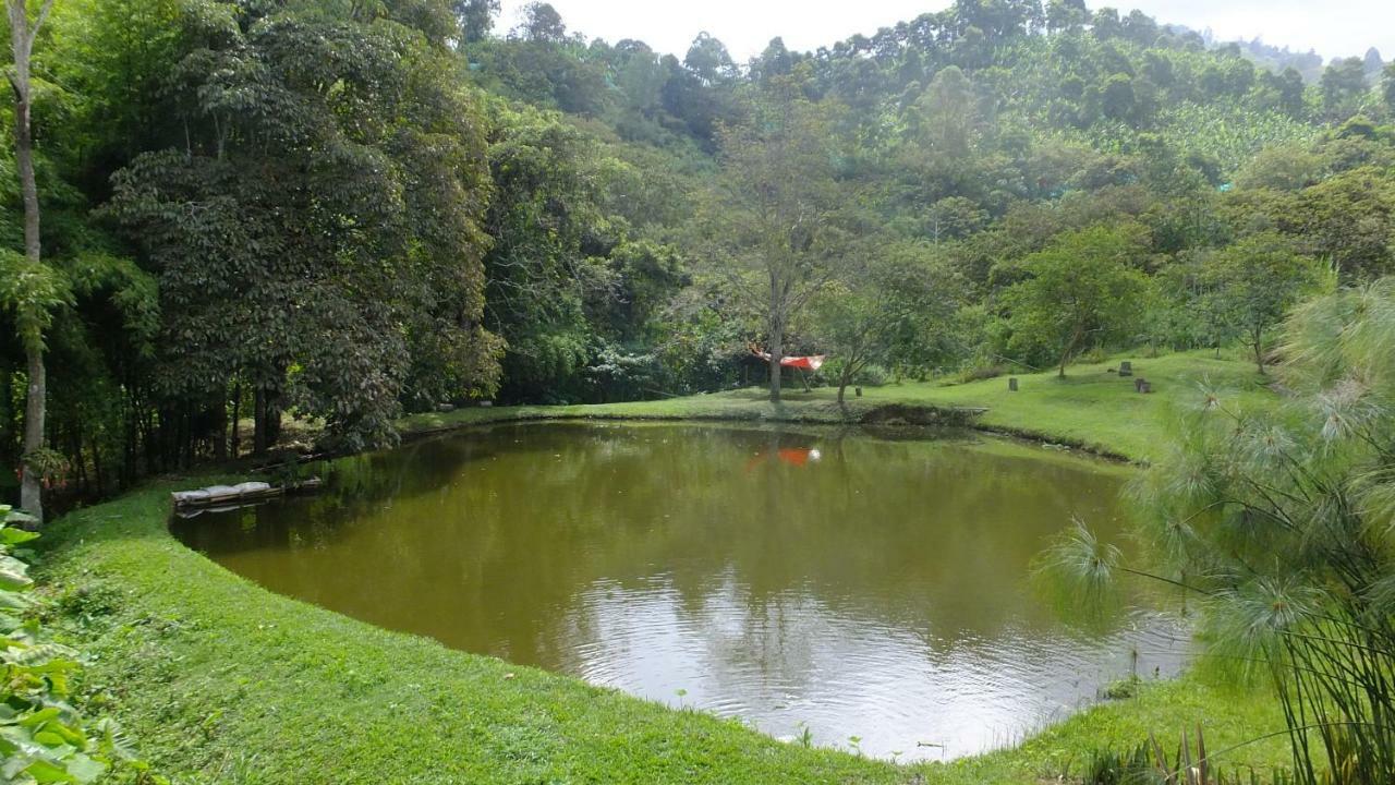 Sonarte Reserva Natural Cordoba  ภายนอก รูปภาพ