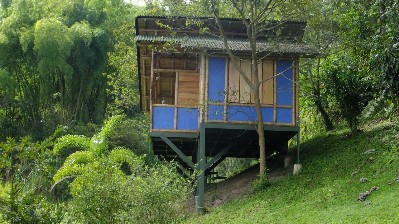 Sonarte Reserva Natural Cordoba  ภายนอก รูปภาพ