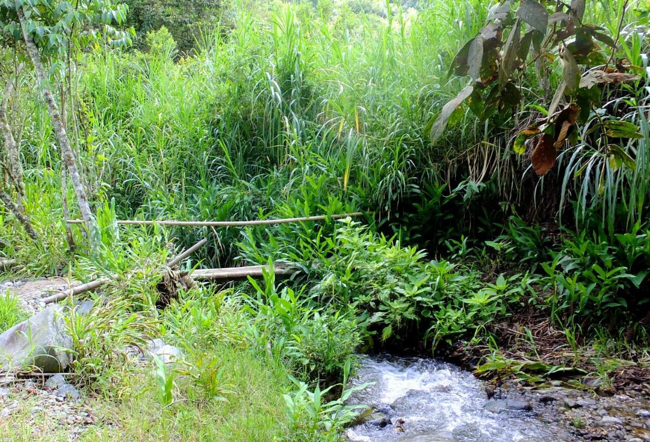 Sonarte Reserva Natural Cordoba  ภายนอก รูปภาพ