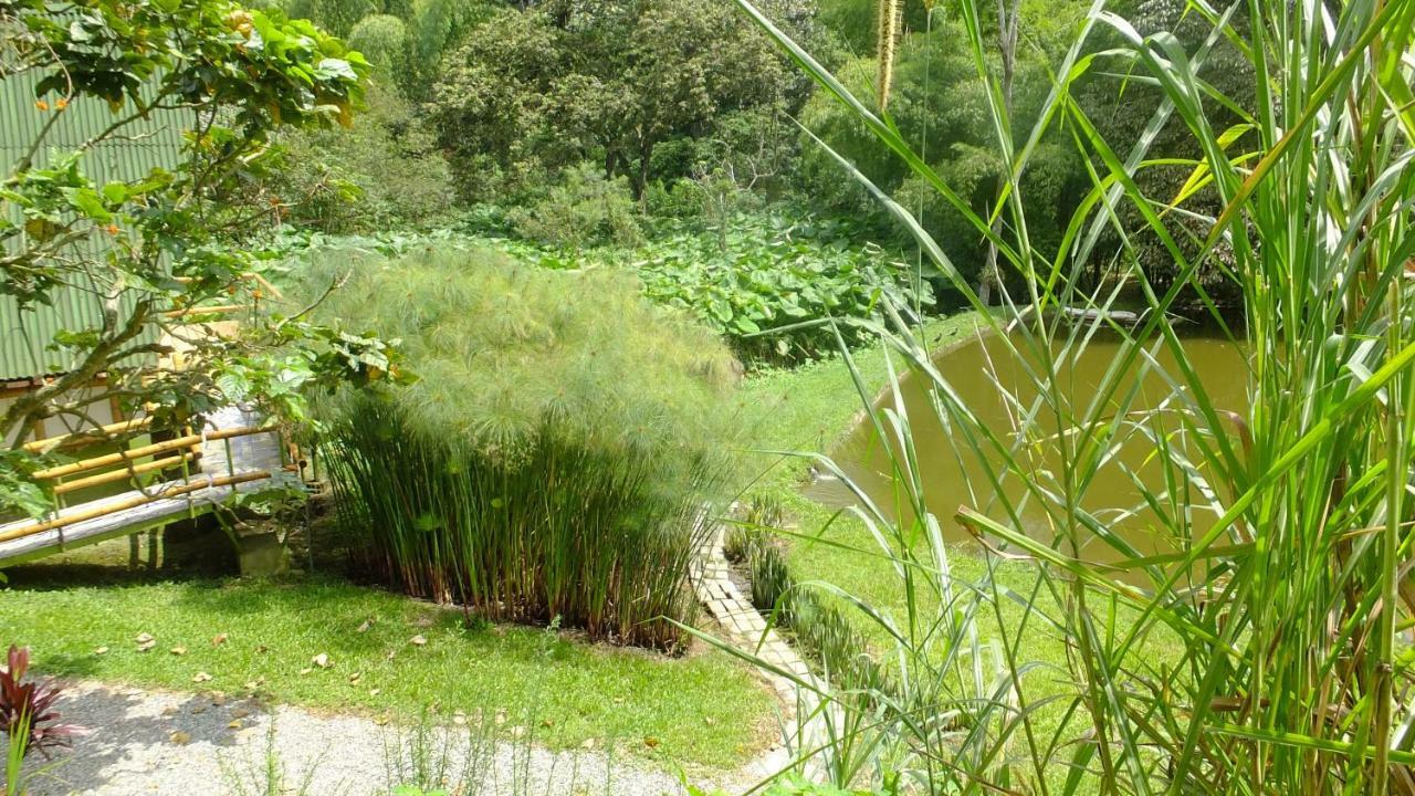 Sonarte Reserva Natural Cordoba  ภายนอก รูปภาพ
