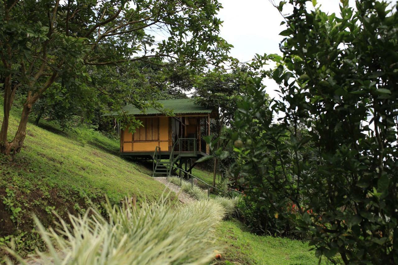 Sonarte Reserva Natural Cordoba  ภายนอก รูปภาพ